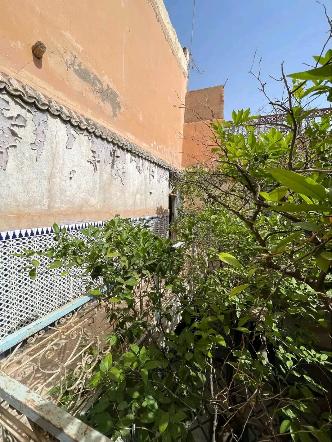 Riad Titolato in Vendita nella medina