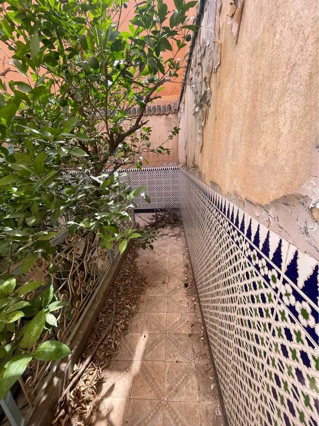 Riad Titolato in Vendita nella medina